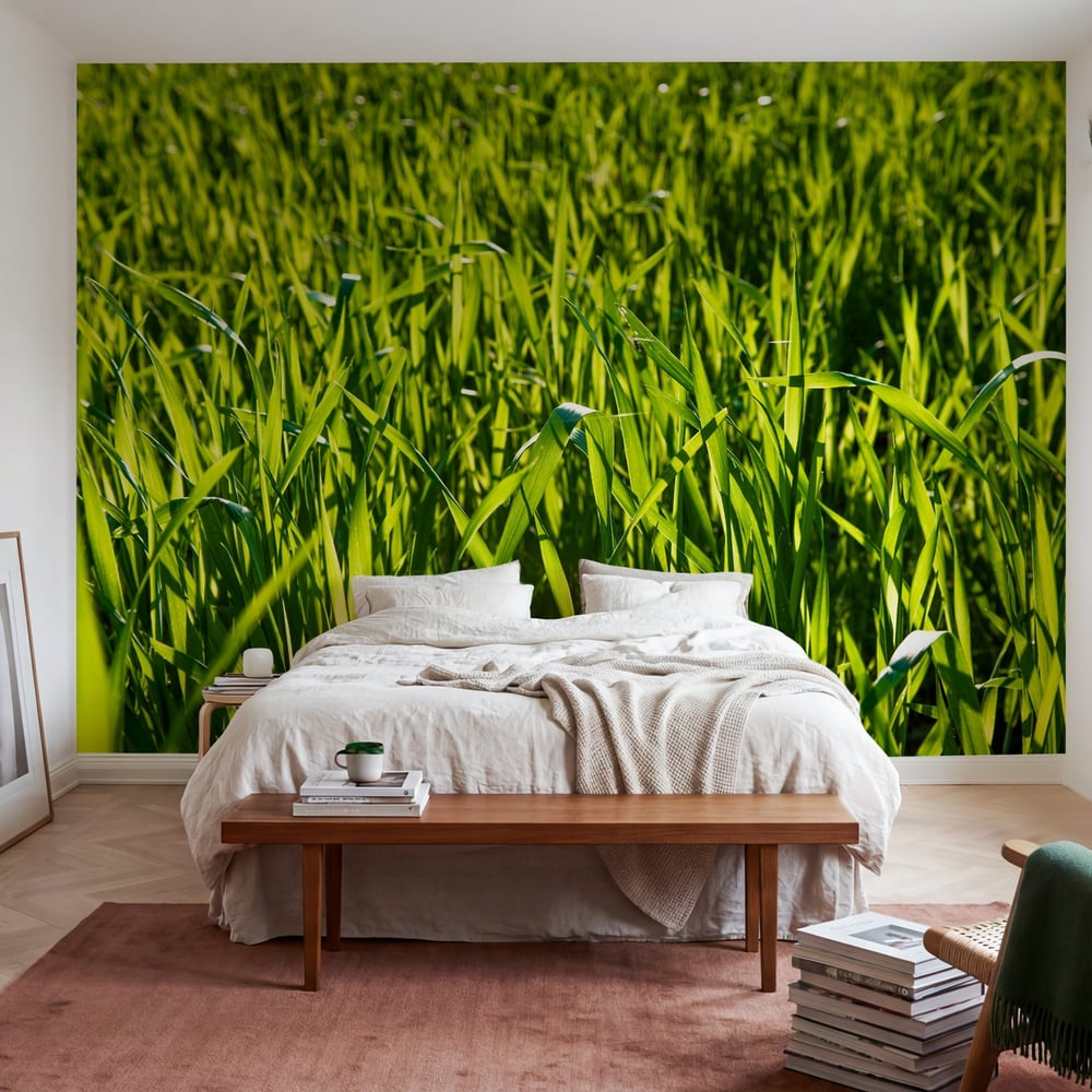 Papiers Peints Panoramique - Green Straw Grass - Photo Wallpaper Nature and landscape