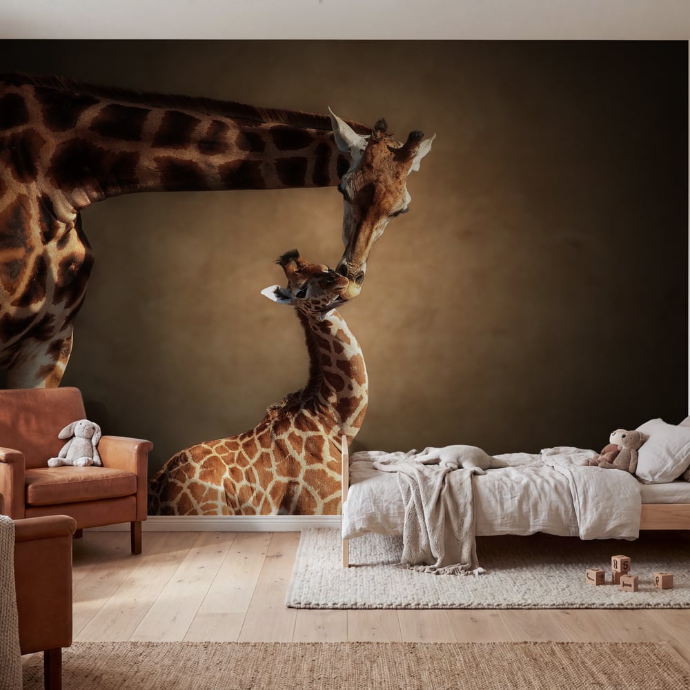 Papiers Peints Panoramique - Giraffes together - Photo Wallpaper Giraffe