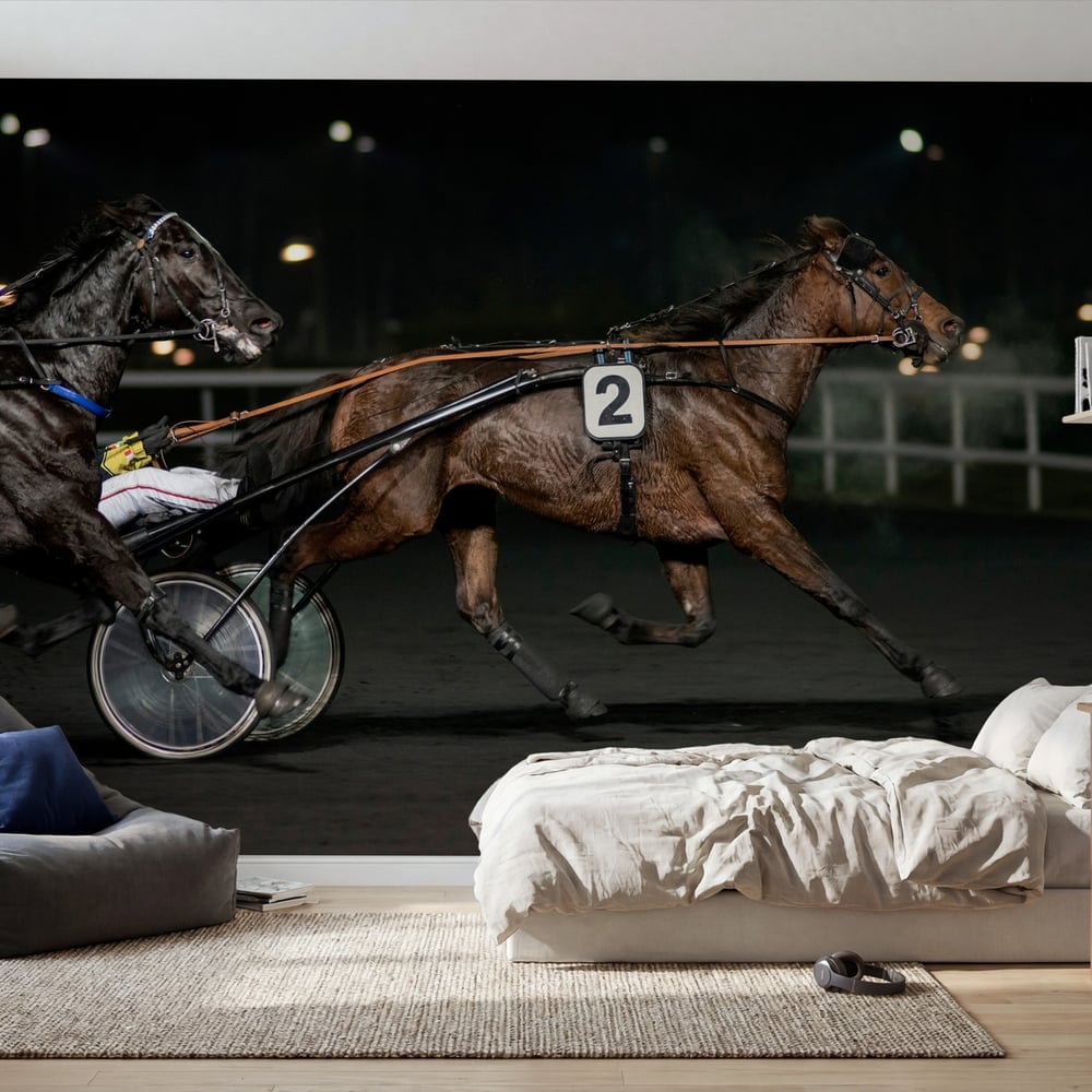 Papiers Peints Panoramique - Course de trot attel - Photo Wallpaper Sports
