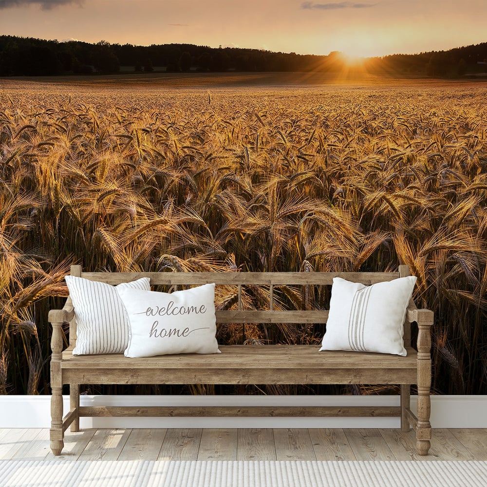 Papiers Peints Panoramique - Fields of gold - Photo Wallpaper Nature and landscape