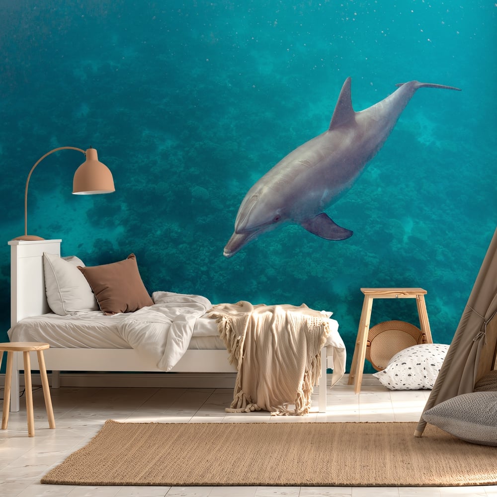 Papiers Peints Panoramique - Dolphin and Coral - Photo Wallpaper Dolphin
