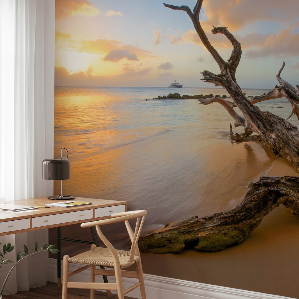 Papiers Peints Panoramique - Driftwood beach - Photo Wallpaper Beach
