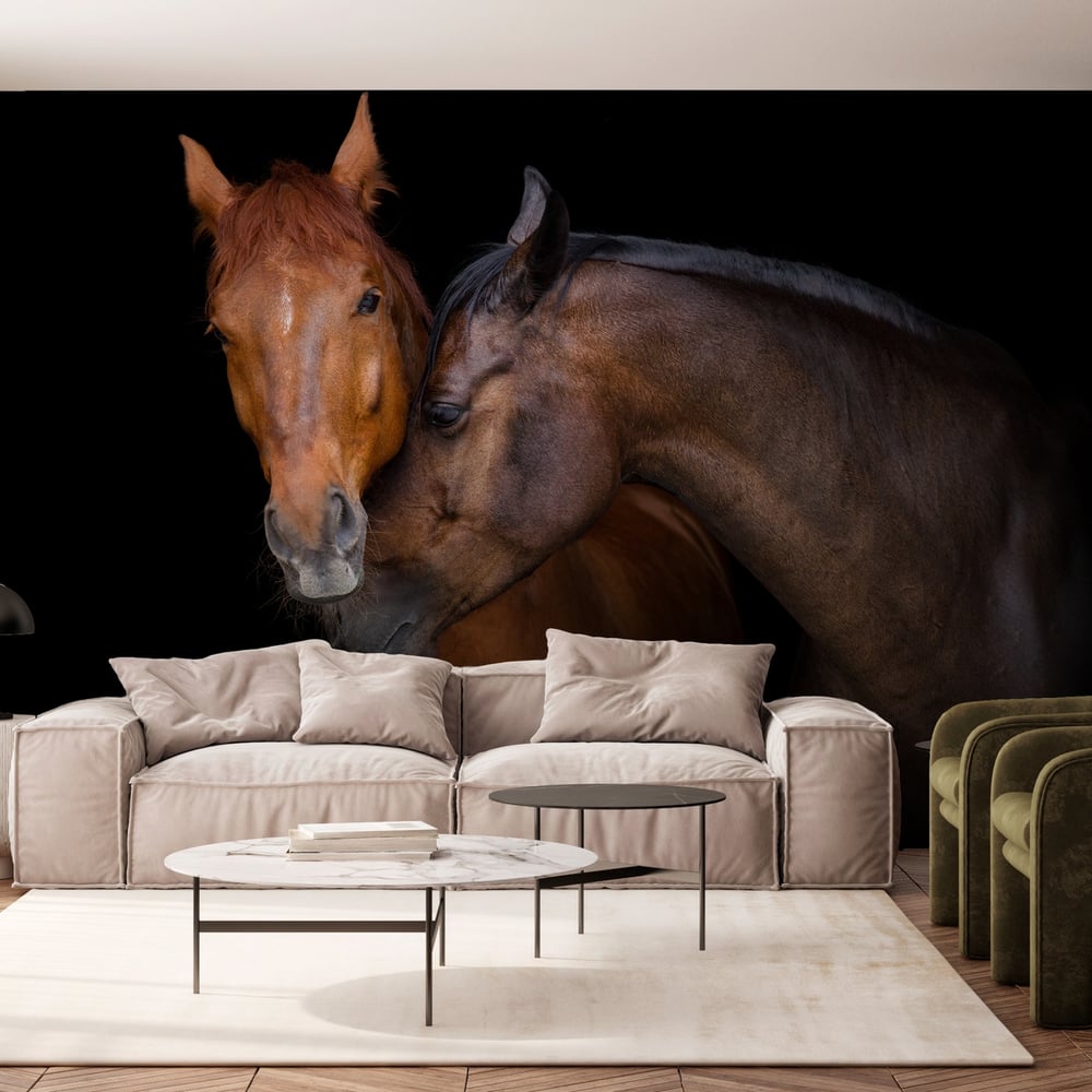 Papiers Peints Panoramique - Horses in Love - Photo Wallpaper Horse