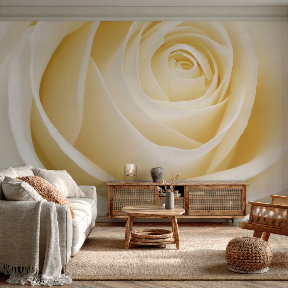 Wall Mural - Fresh White Rose - Scandiwall