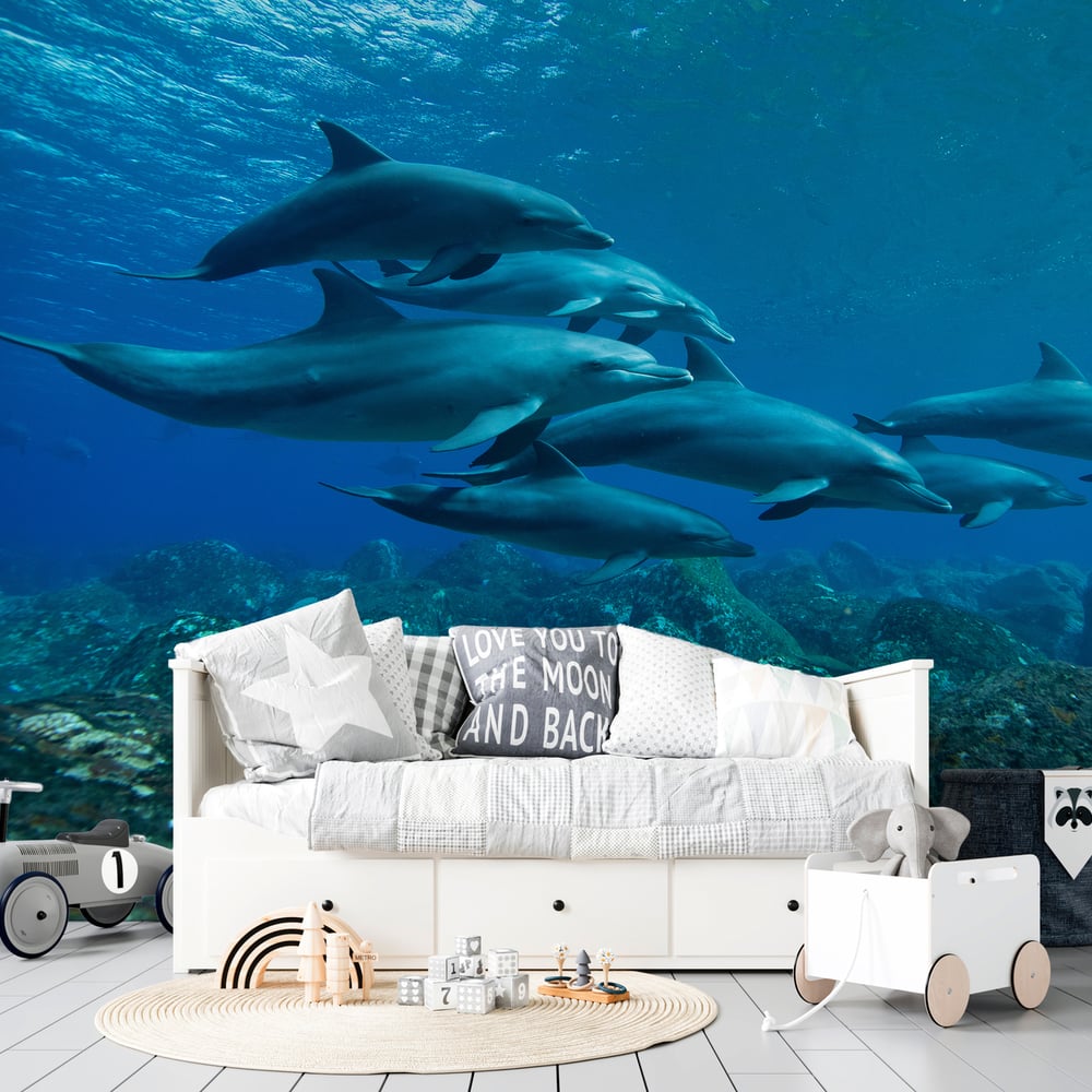 Papiers Peints Panoramique - Herd - Photo Wallpaper Dolphin