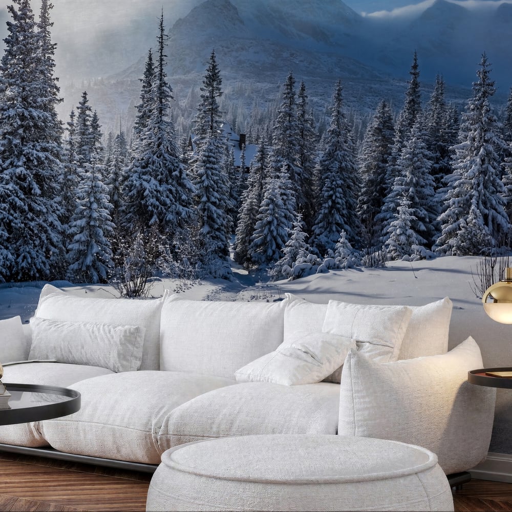 Papiers Peints Panoramique - Enjoy your winter journey in Tatras Mountains Poland - Photo Wallpaper Rock