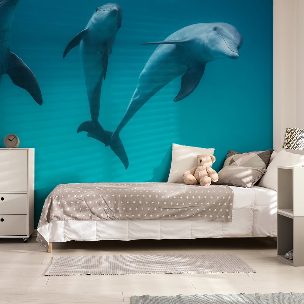 Wall Mural - Bottlenose Dolphins - Scandiwall
