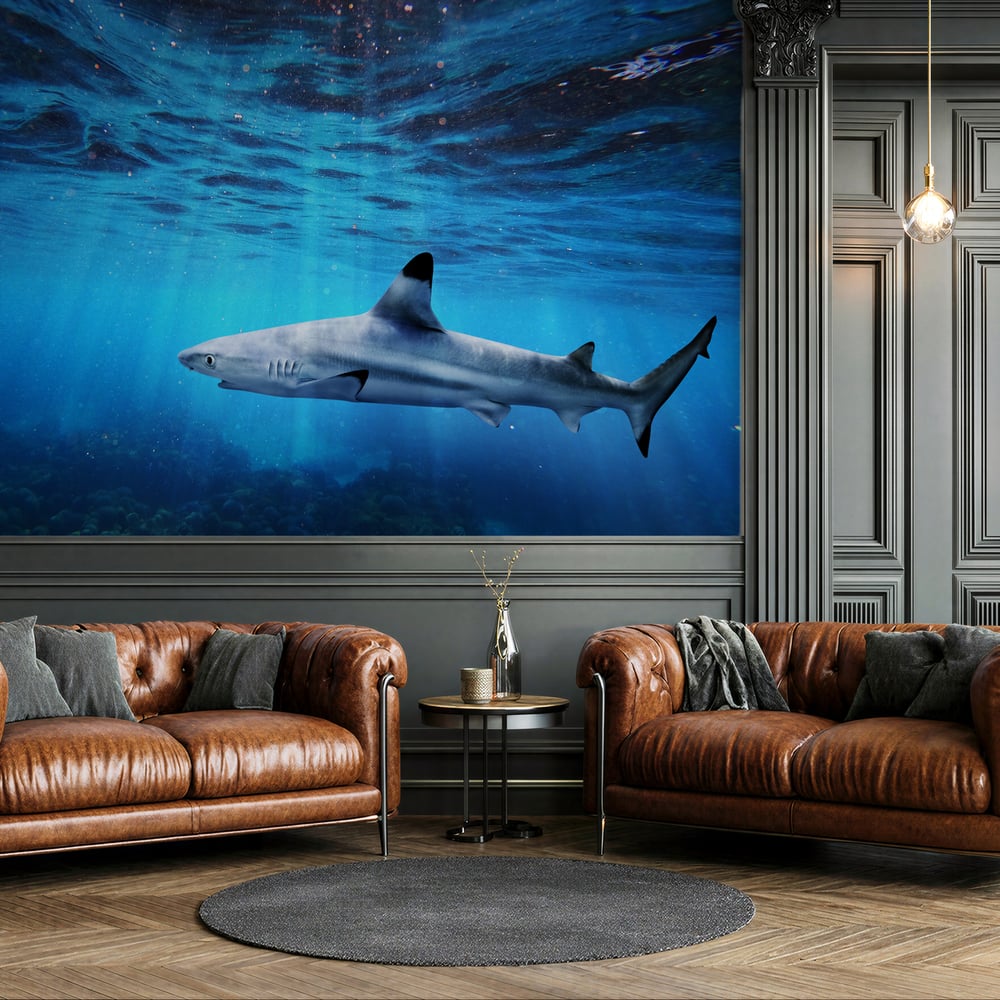 Wall Mural - Blacktip Reef Shark Underwater - Scandiwall