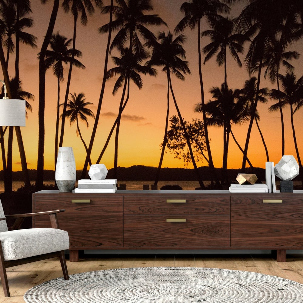 Papiers Peints Panoramique - Fiji Water - Photo Wallpaper Countries and destinations