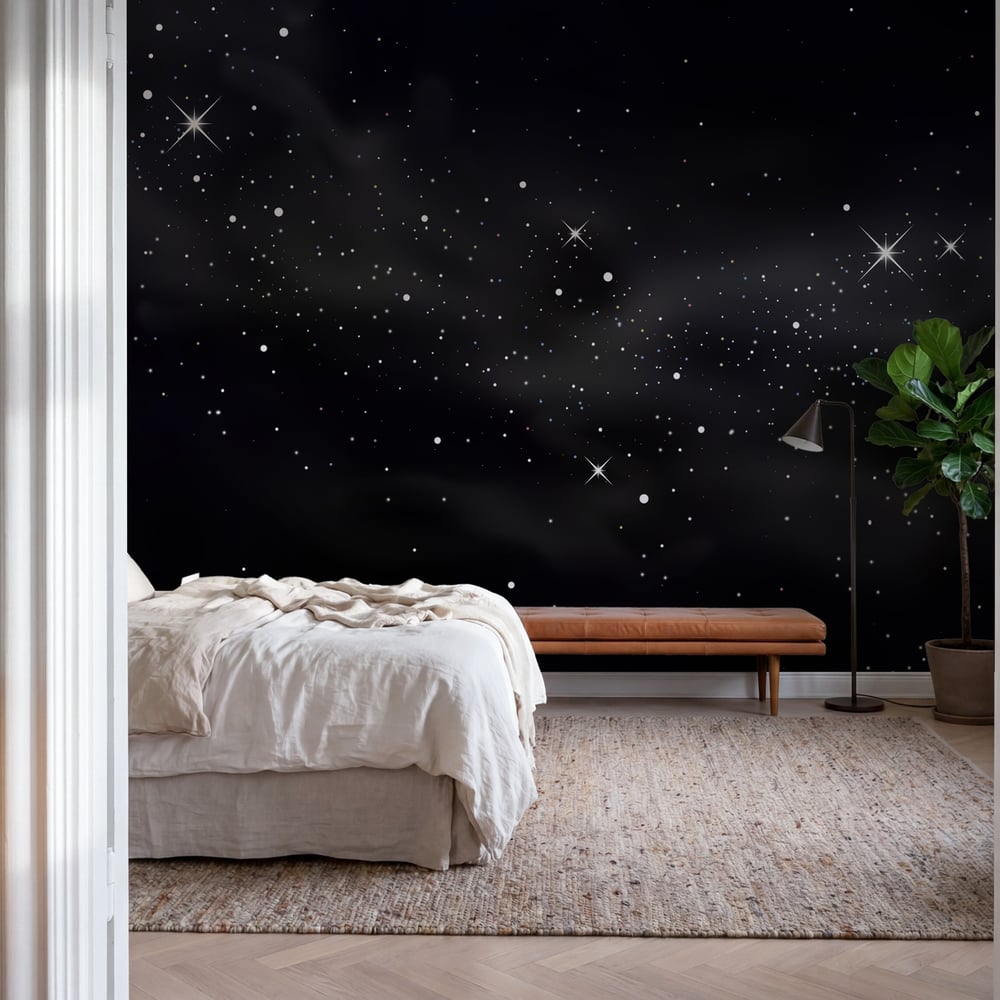 Wall Mural - Black and White Universe - Scandiwall
