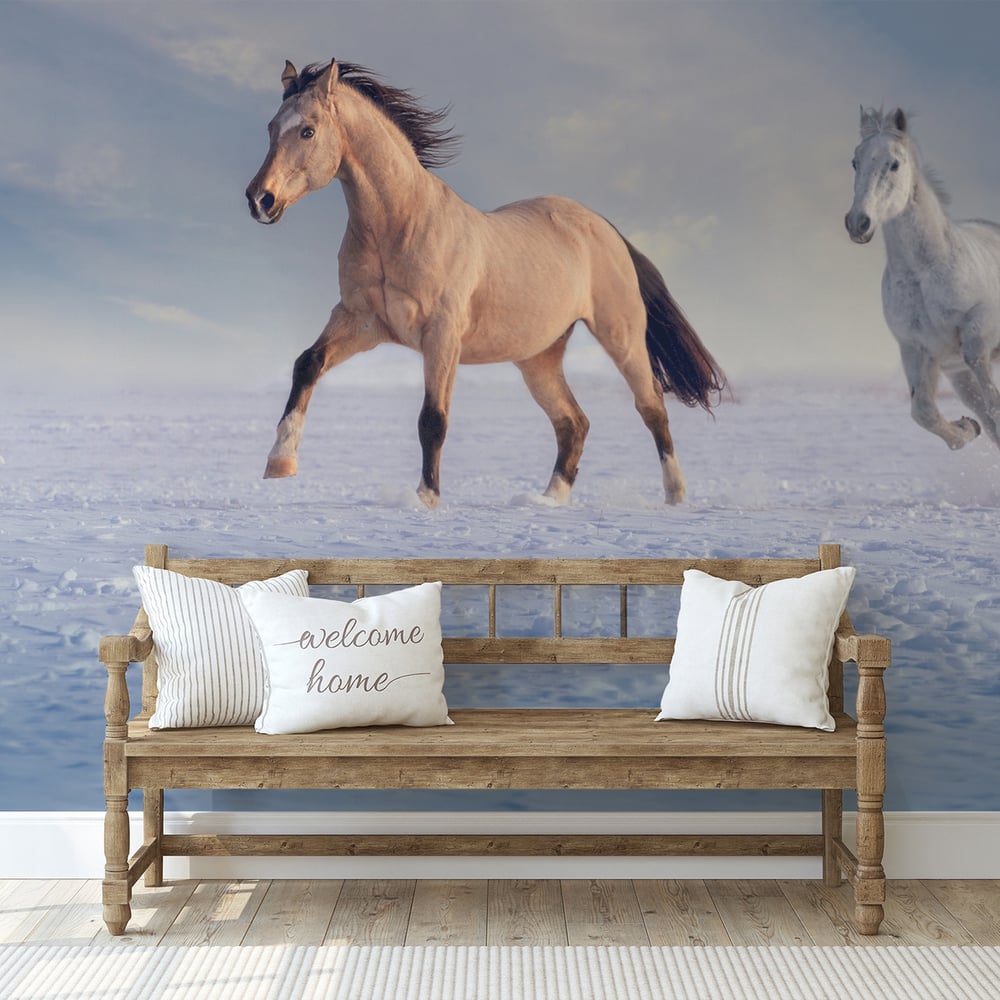 Papiers Peints Panoramique - Buckskin stallion and white stallion run on snow in winter - Photo Wallpaper Horse