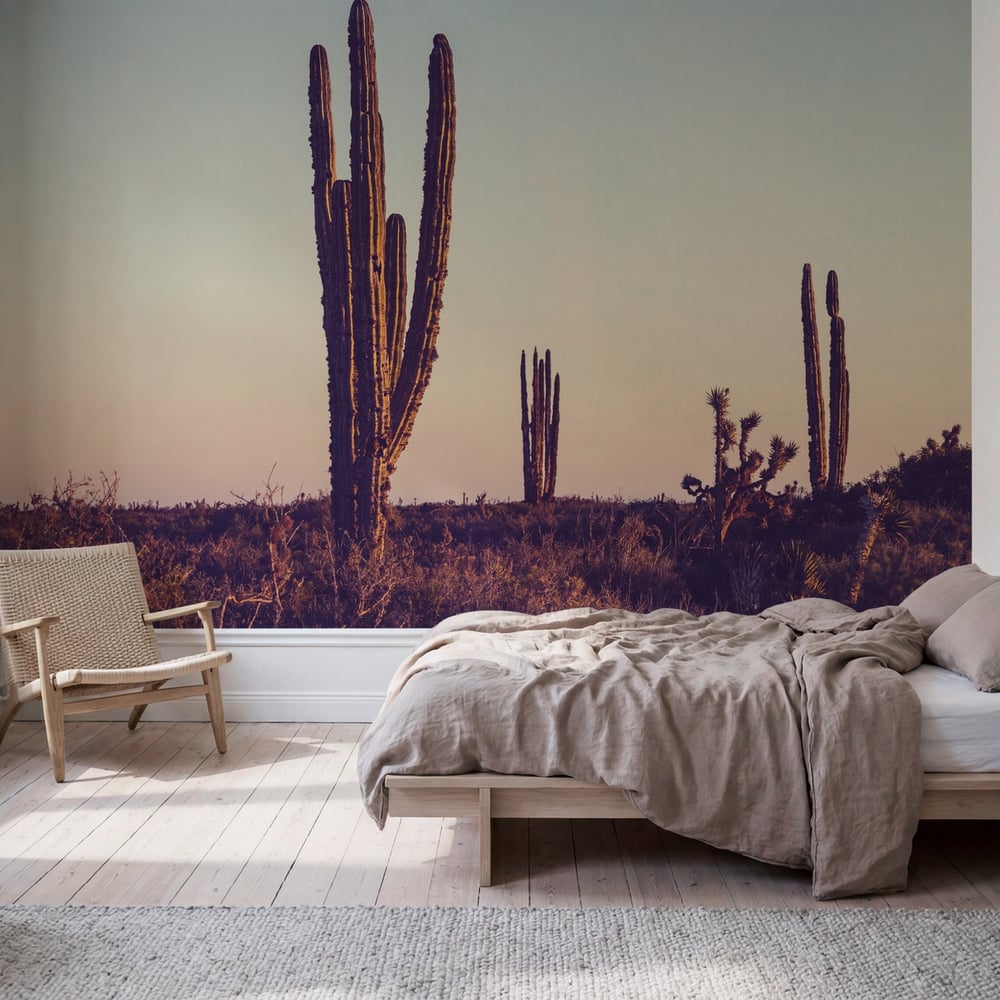 Papiers Peints Panoramique - Cactus in Mexico -