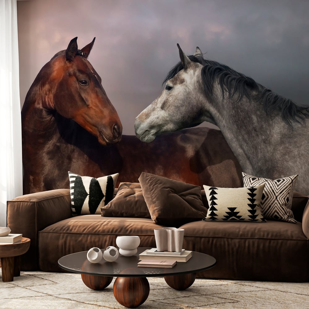 Fototapet - Beautiful black and grey colour horse couple in love - Photo Wallpaper Horse