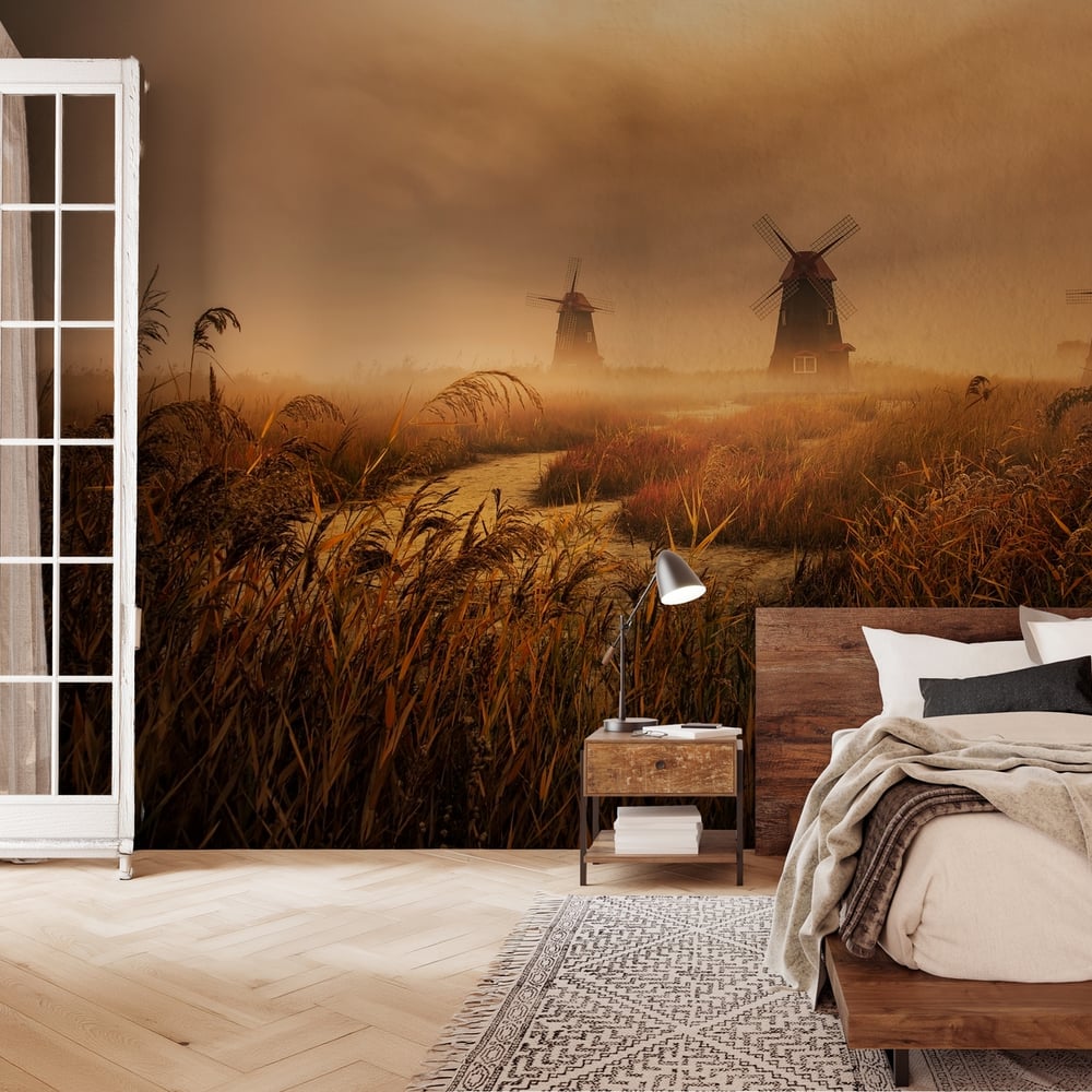 Papiers Peints Panoramique - A fascinating morning - Photo Wallpaper Nature and landscape