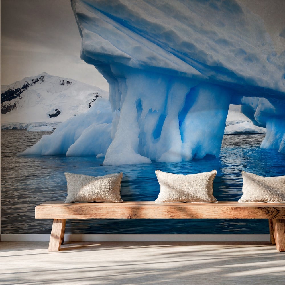 Wall Mural - Beautiful view in Antarctica - Scandiwall