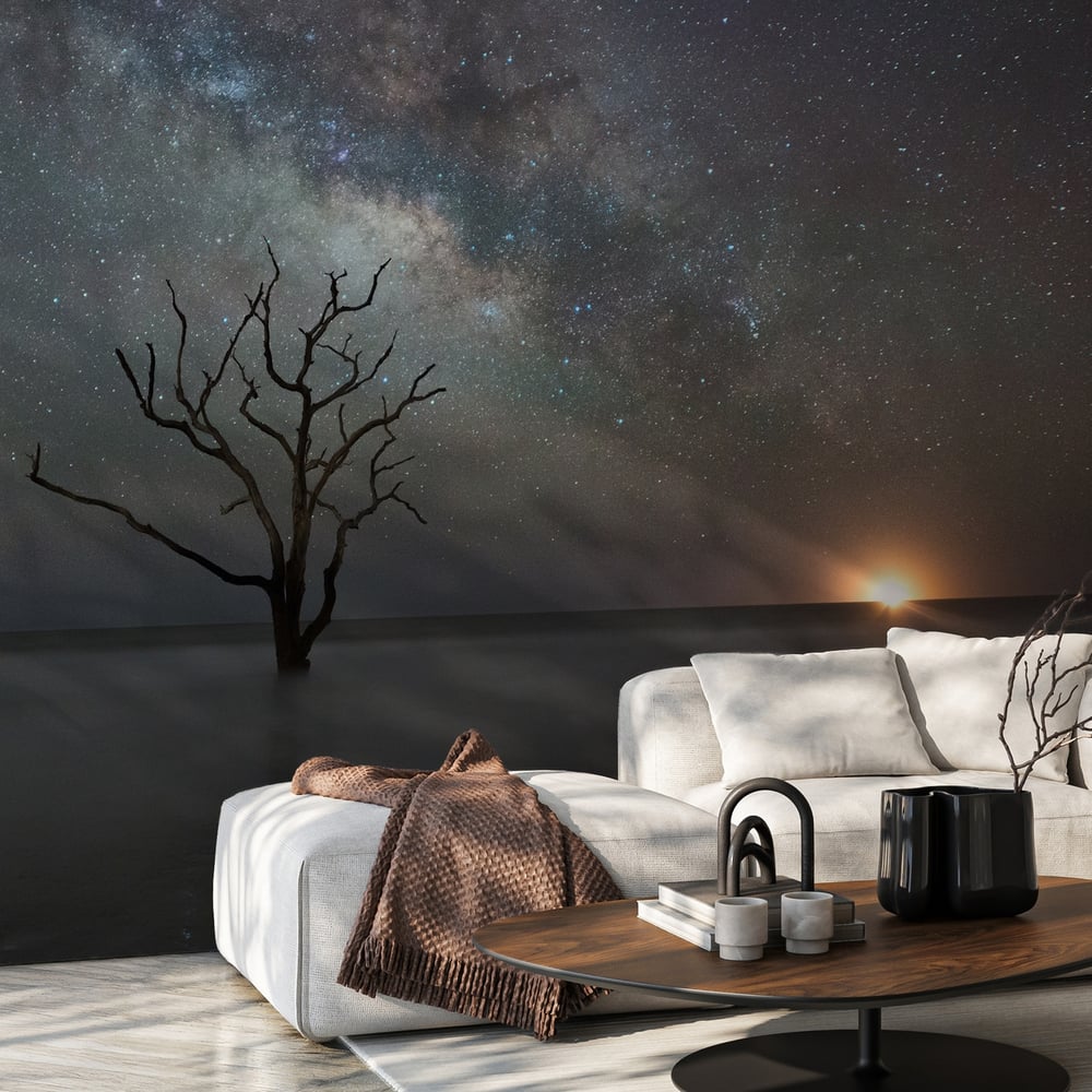 Wall Mural - Botany Bay Beach under the Milky Way - Scandiwall