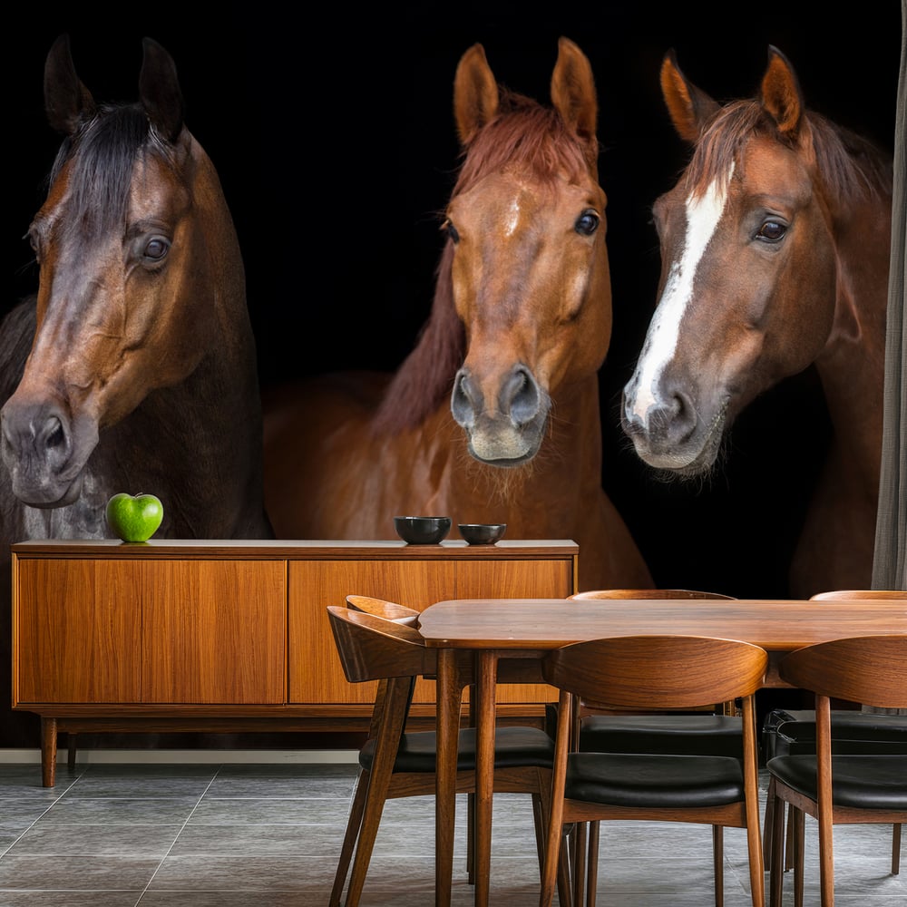 Papiers Peints Panoramique - Horses portrait isolated on black background - Photo Wallpaper Horse