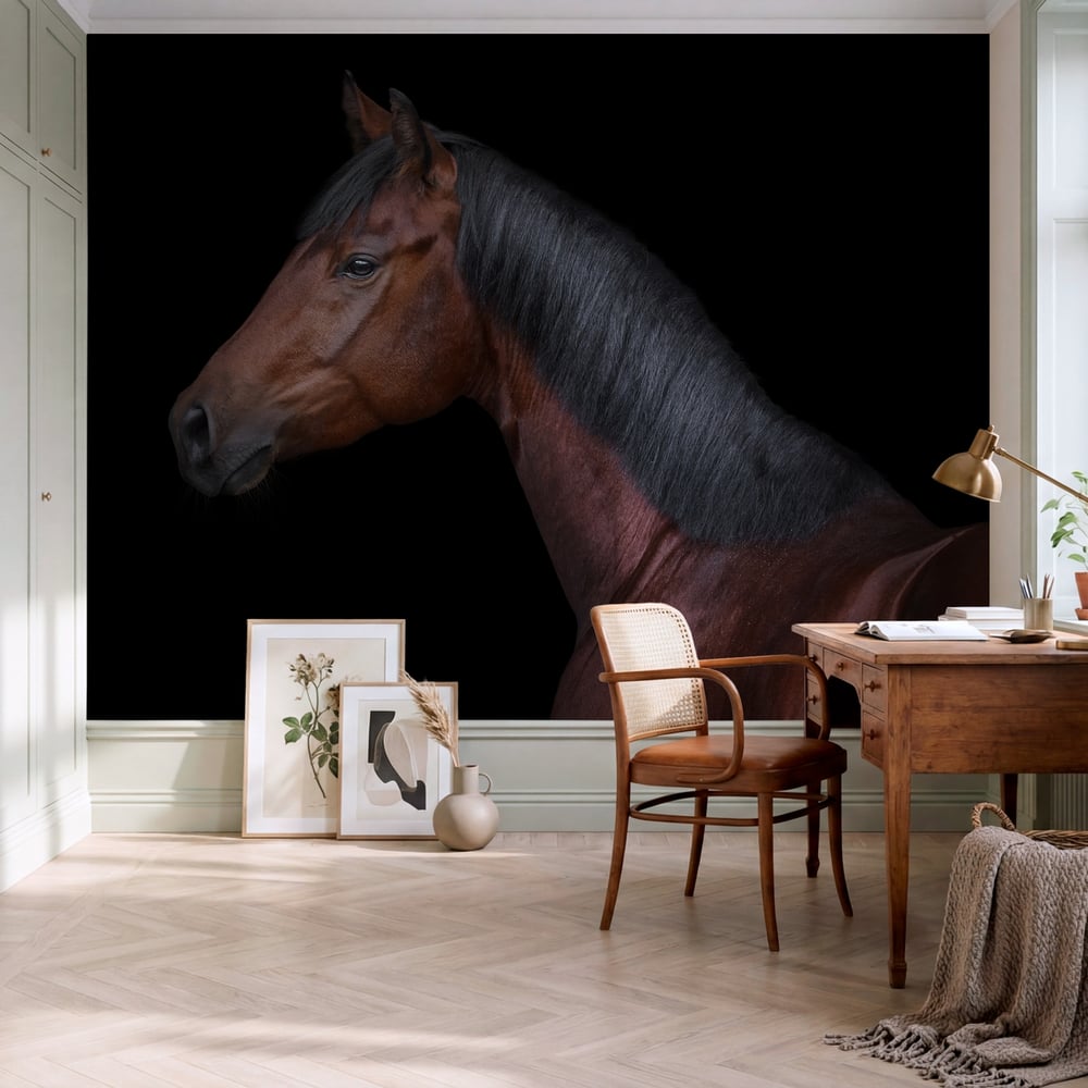 Fototapet - Bay horse on black background isolated - Photo Wallpaper Horse