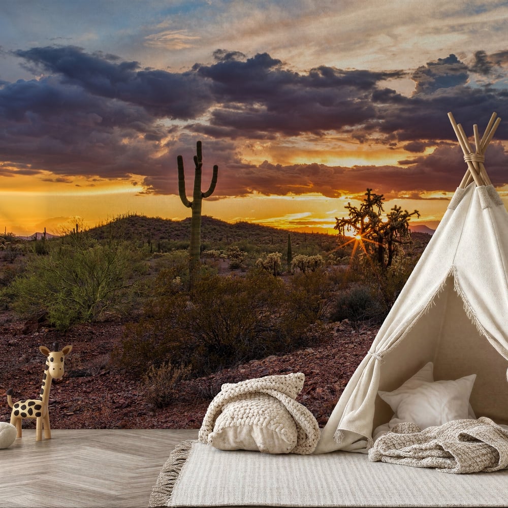 Fototapet - Arizona desert sunset - Photo Wallpaper Desert