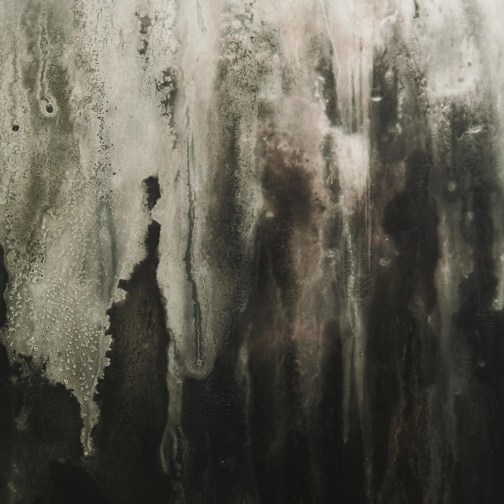 Papiers Peints Panoramique - Grunge Window - Photo Wallpaper Materials and designs
