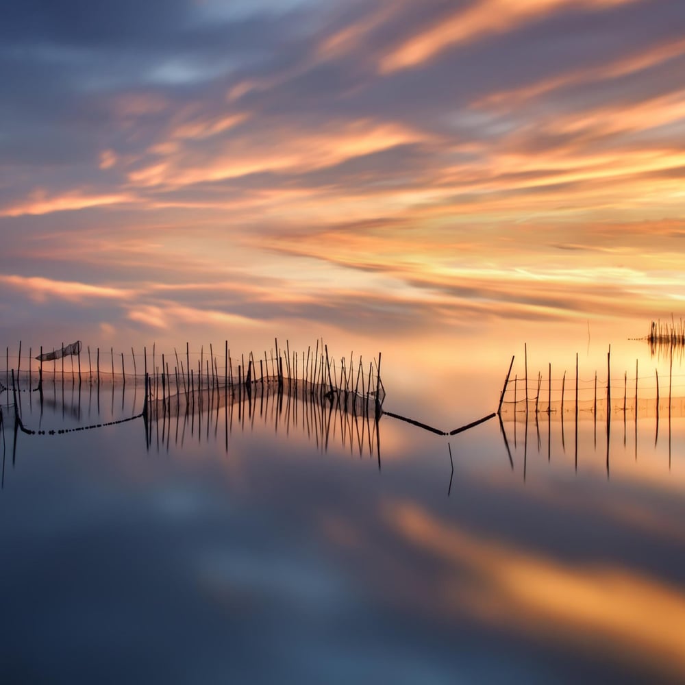 Papiers Peints Panoramique - Fishnets - Photo Wallpaper Sea