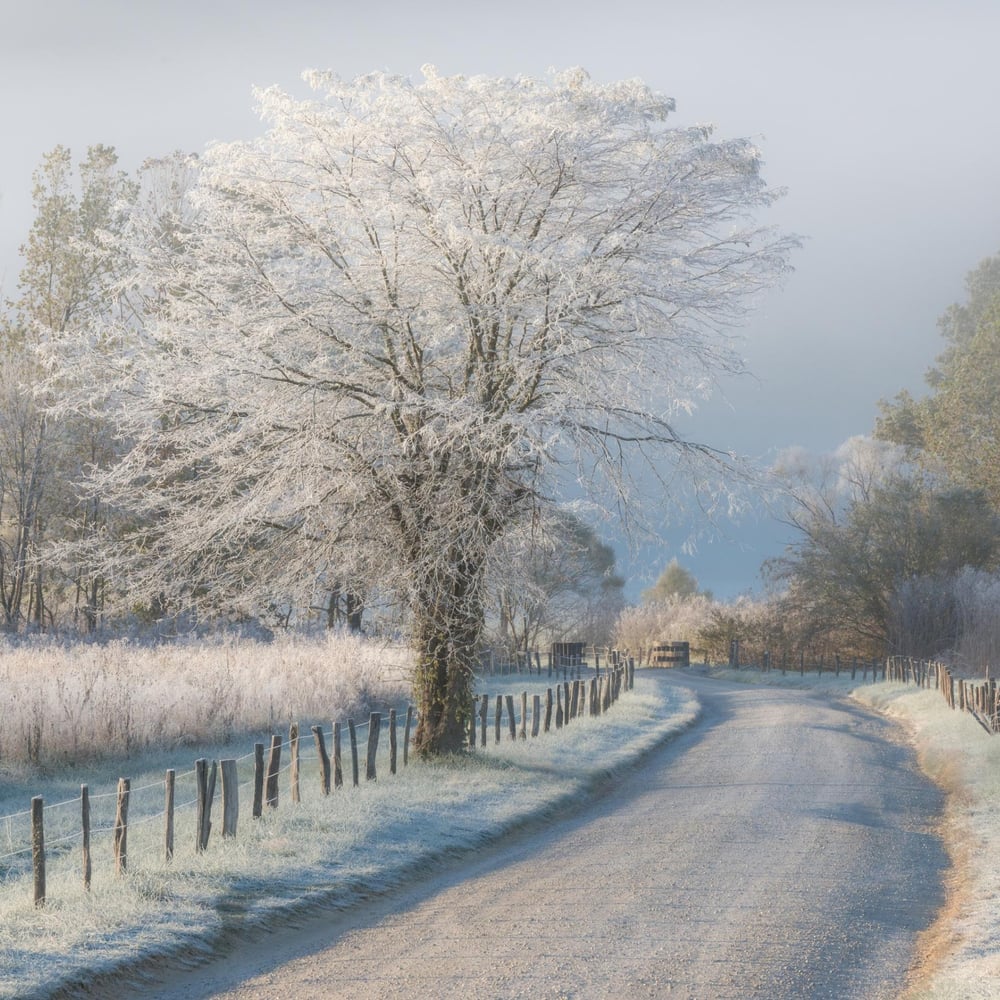 Papiers Peints Panoramique - A Frosty Morning - Photo Wallpaper Nature and landscape