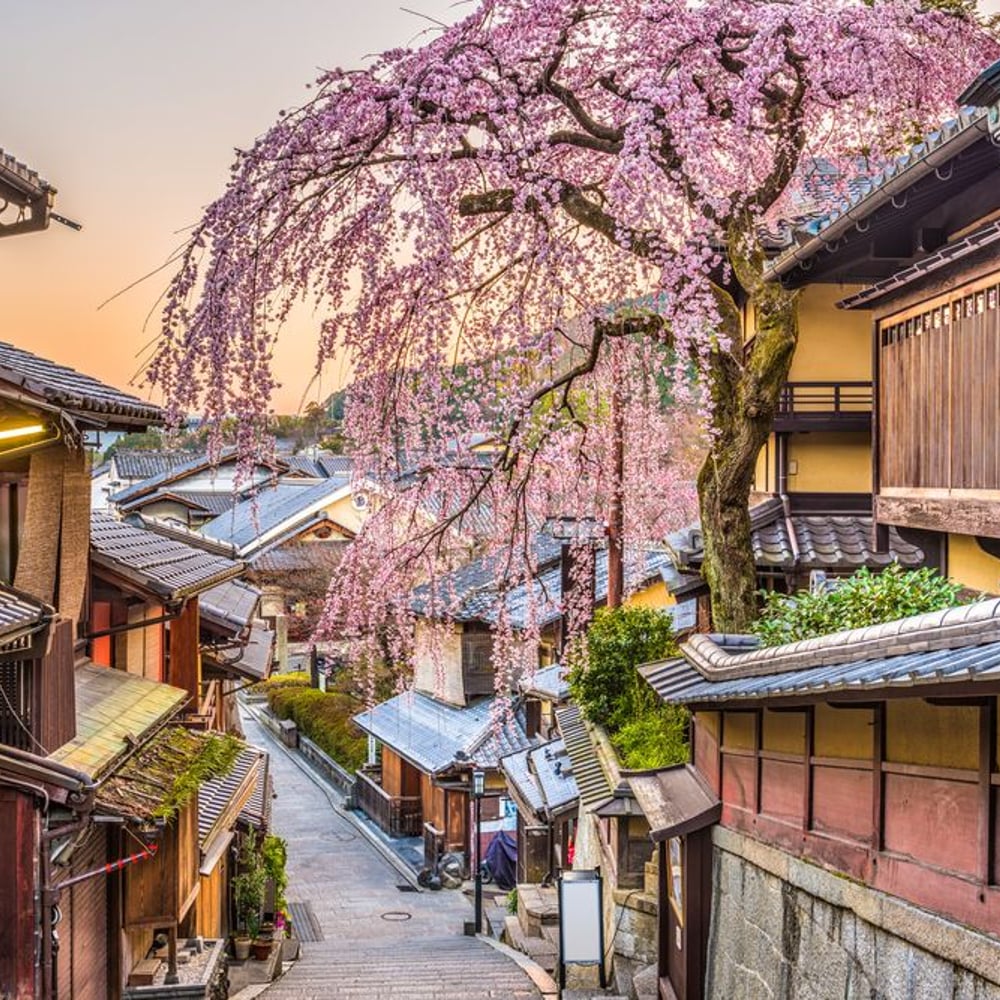 Papiers Peints Panoramique - Japan in Spring -