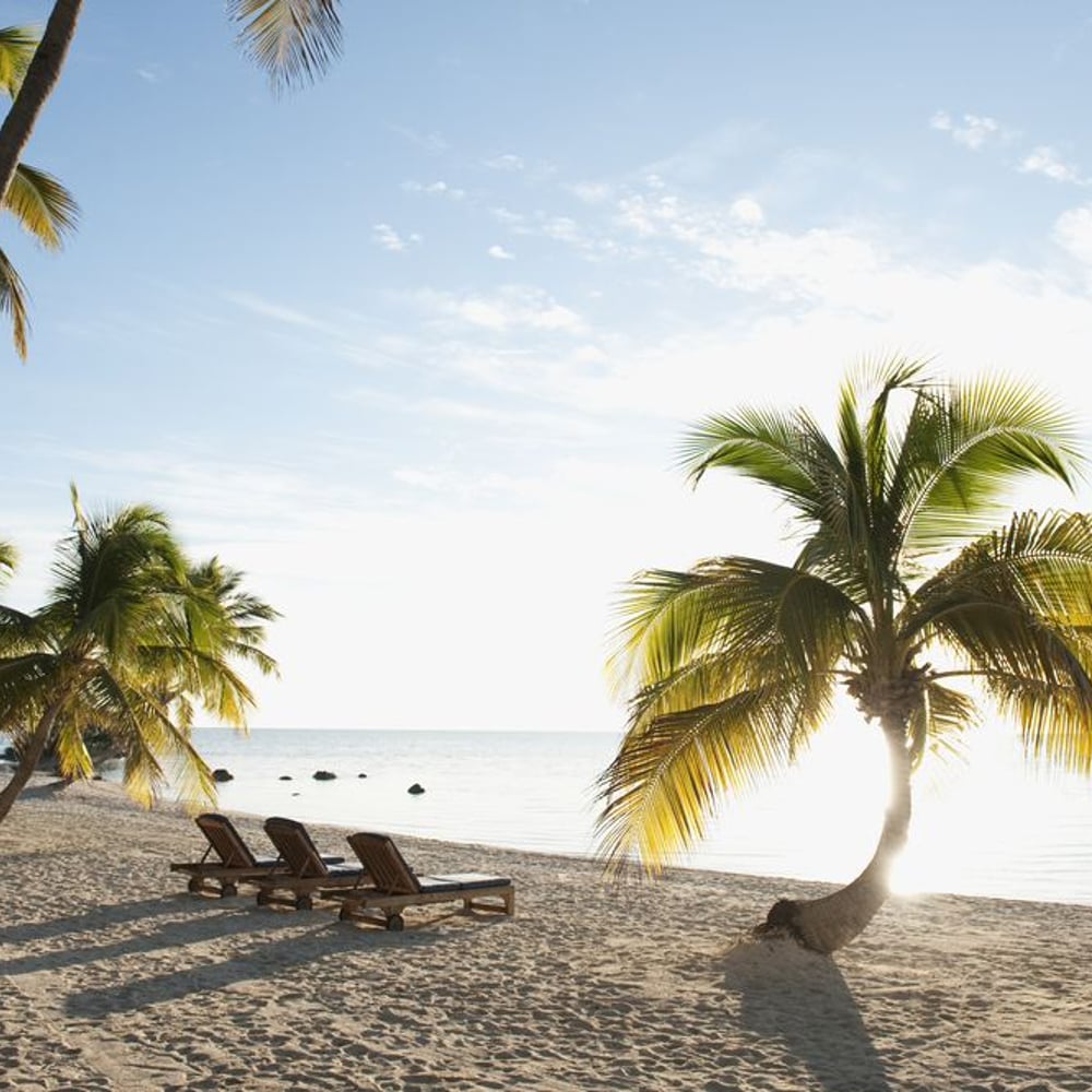 Fototapet - Beach in Islamorada at Florida Keys - Other motifs New Arrivals