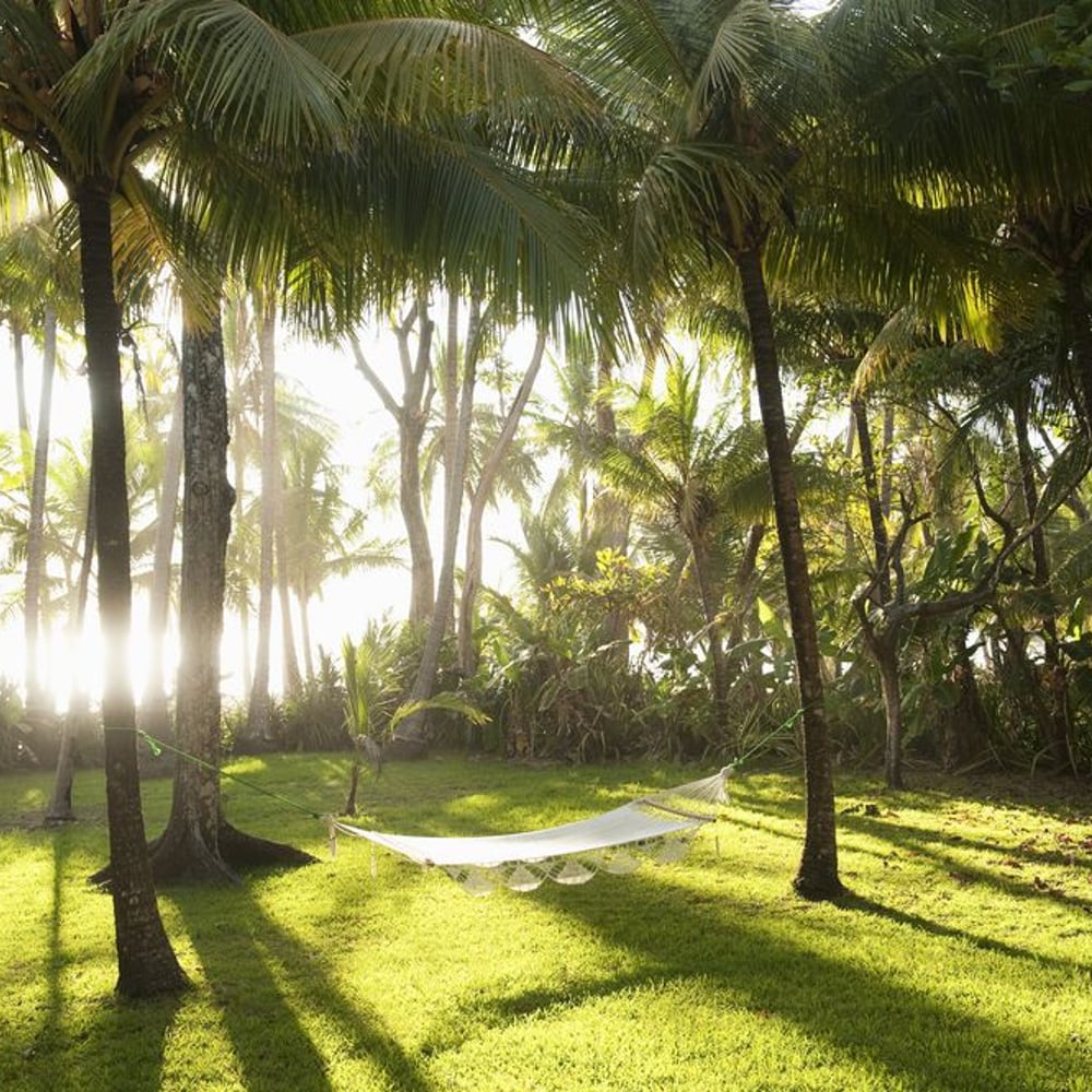 Papiers Peints Panoramique - Hammock in Santa Teresa on Costa Rica - Other motifs New Arrivals