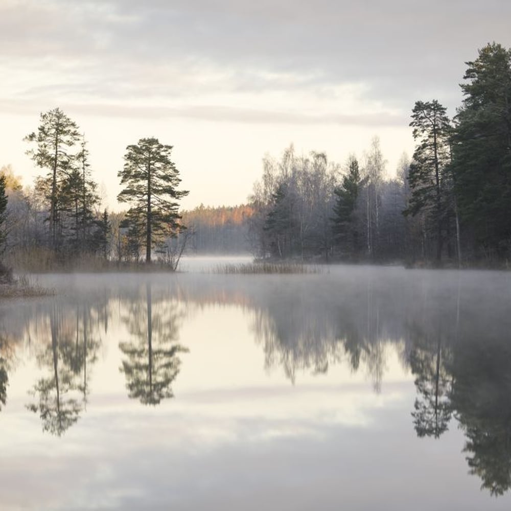 Papiers Peints Panoramique - Foggy Morning Over Silent Lake - Photo Wallpaper Lake