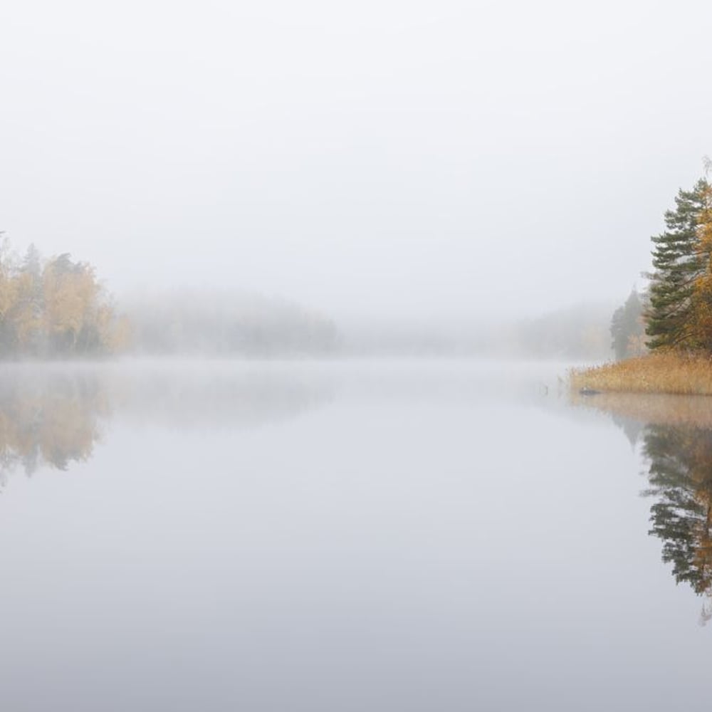 Papiers Peints Panoramique - Foggy Autumn Lake - Photo Wallpaper Lake