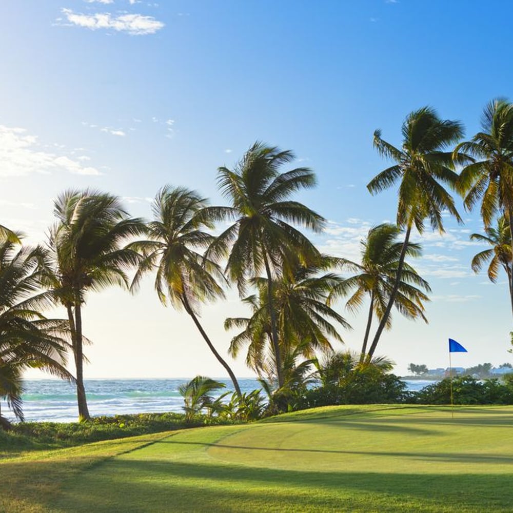 Papiers Peints Panoramique - Golf Course at Trinidad and Tobago - Other motifs New Arrivals