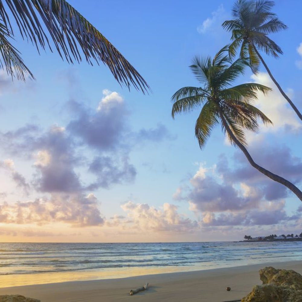 Fototapet - Beach Rockly Bay at Trinidad och Tobago - Other motifs New Arrivals