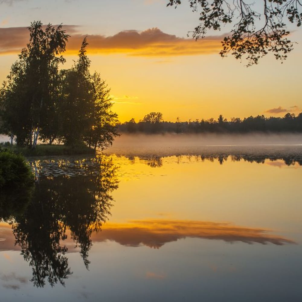 Papiers Peints Panoramique - Foggy Lake at Sunset - Photo Wallpaper Lake