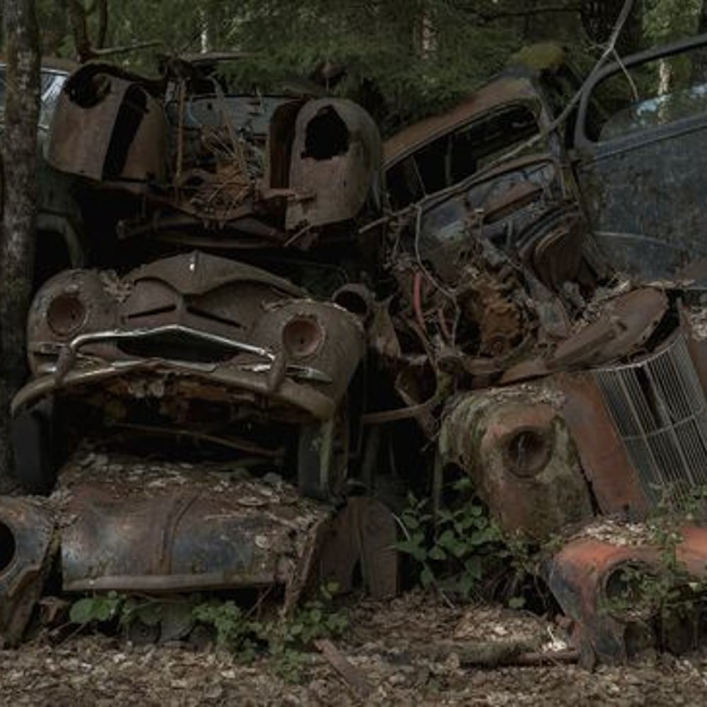 Wall Mural - Classic Cars Abandoned in the Woods - Scandiwall