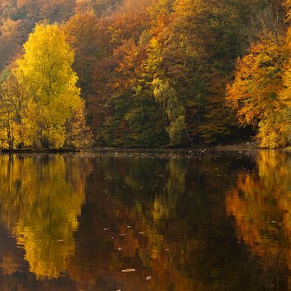 Fototapet - Autumn Lake Reflections - Photo Wallpaper Lake