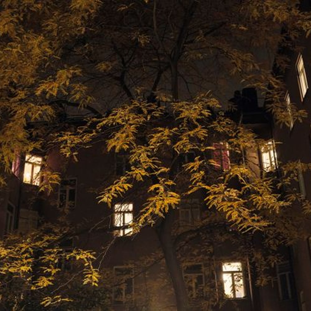 Papiers Peints Panoramique - Building Neighbours at Night - 3D wallpaper