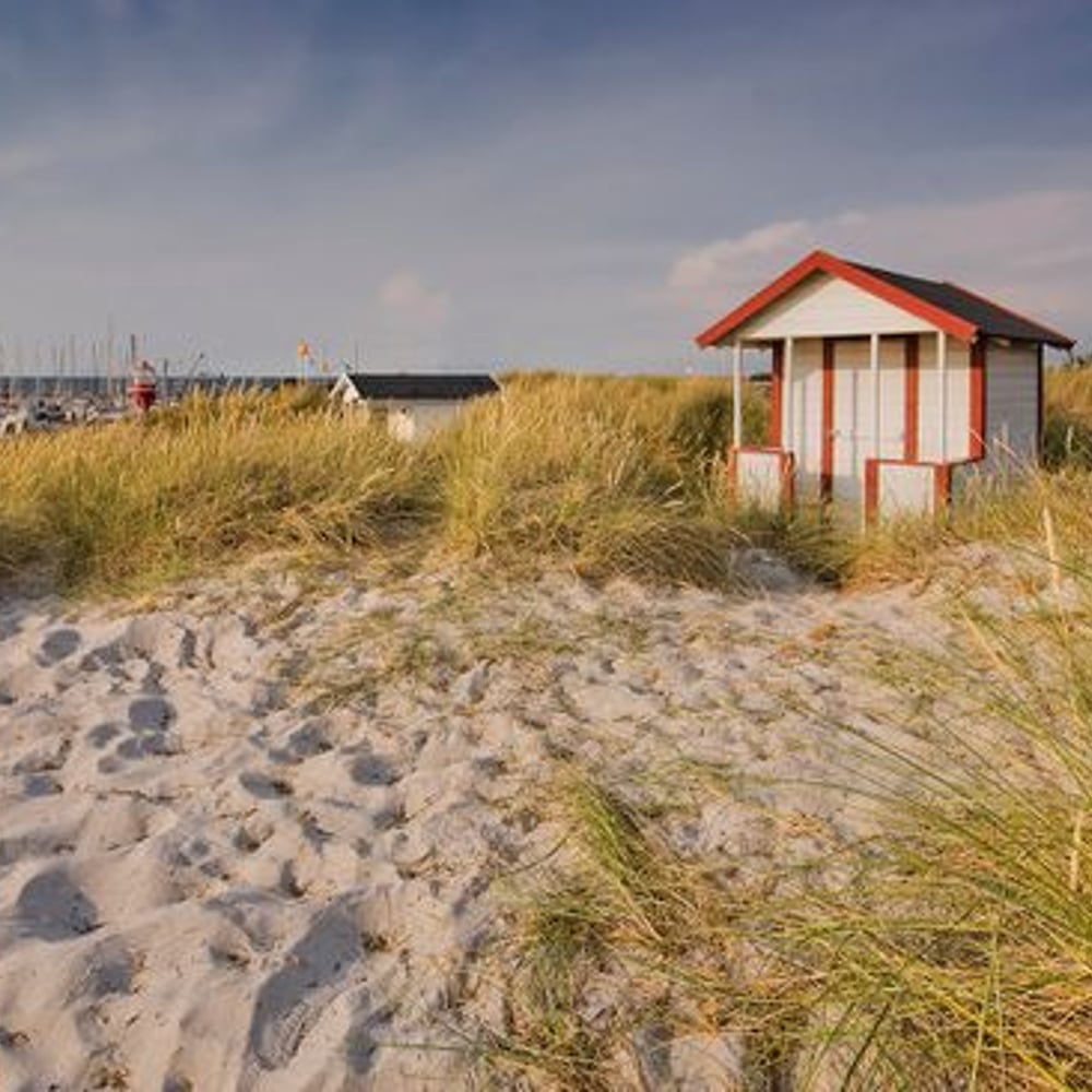 Fototapet - Beach Hut at Skanor Beach - Other motifs New Arrivals