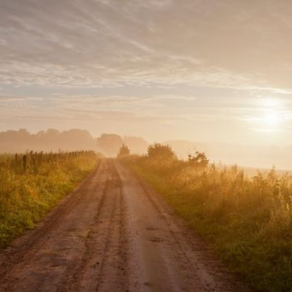 Papiers Peints Panoramique - Country Road in Summer - New Arrivals
