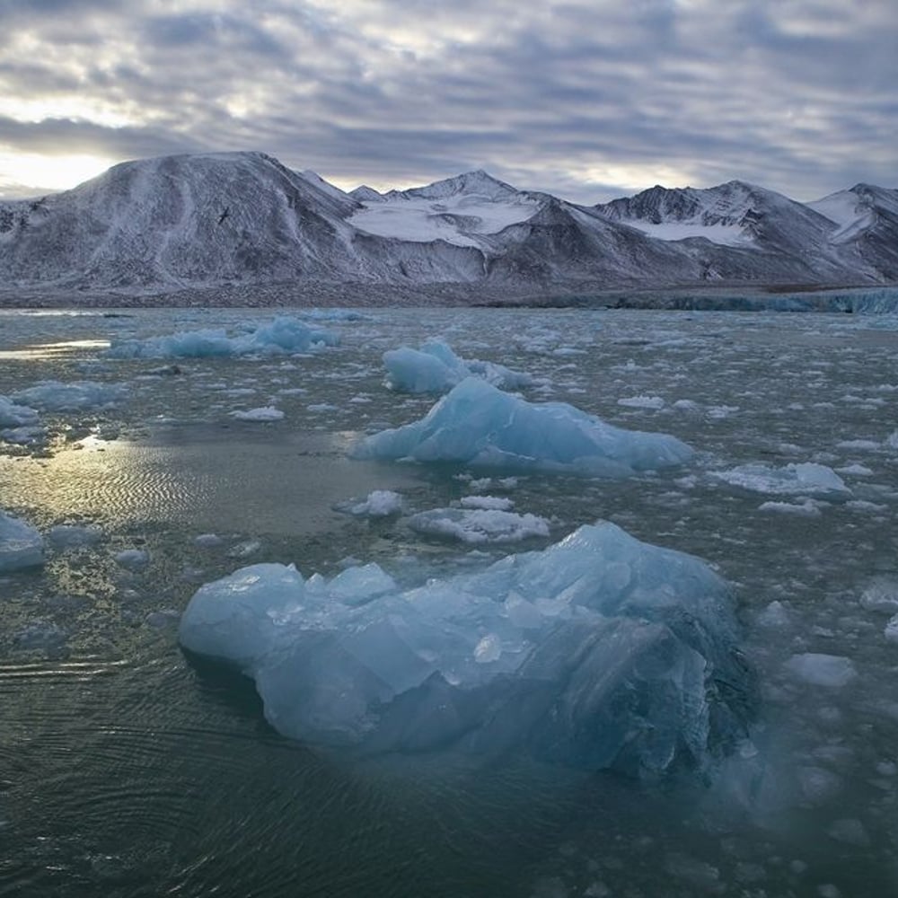 Fototapet - Artic Sea Ice Floes around Svalbard - New Arrivals