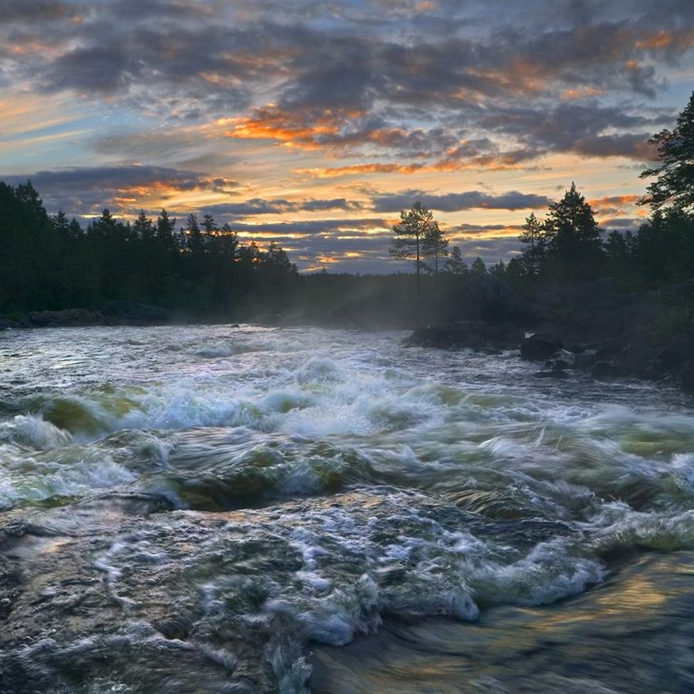 Papiers Peints Panoramique - Flowing water of a Summer River - New Arrivals