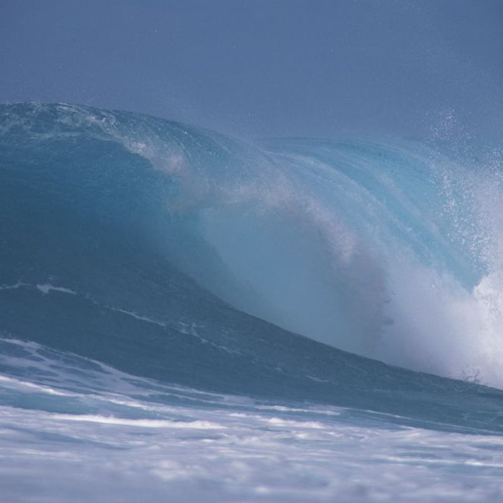 Wall Mural - Big Wave in Pacific Ocean - Scandiwall