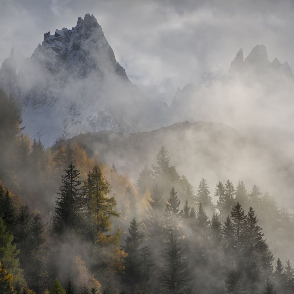 Fototapet - Autumn in Chamonix - New Arrivals