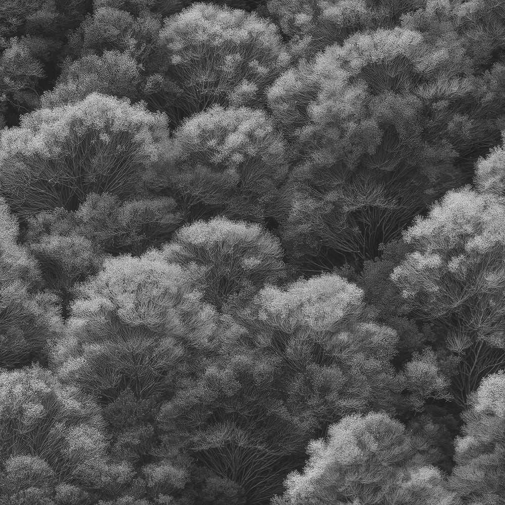 Fototapet - Dennis Grey - 1080401-02 - Nature