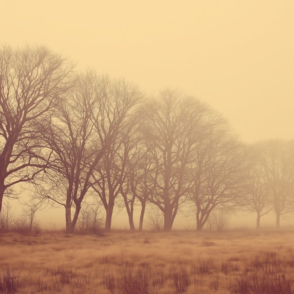 Papiers Peints Panoramique - Soft Fog I - Nature