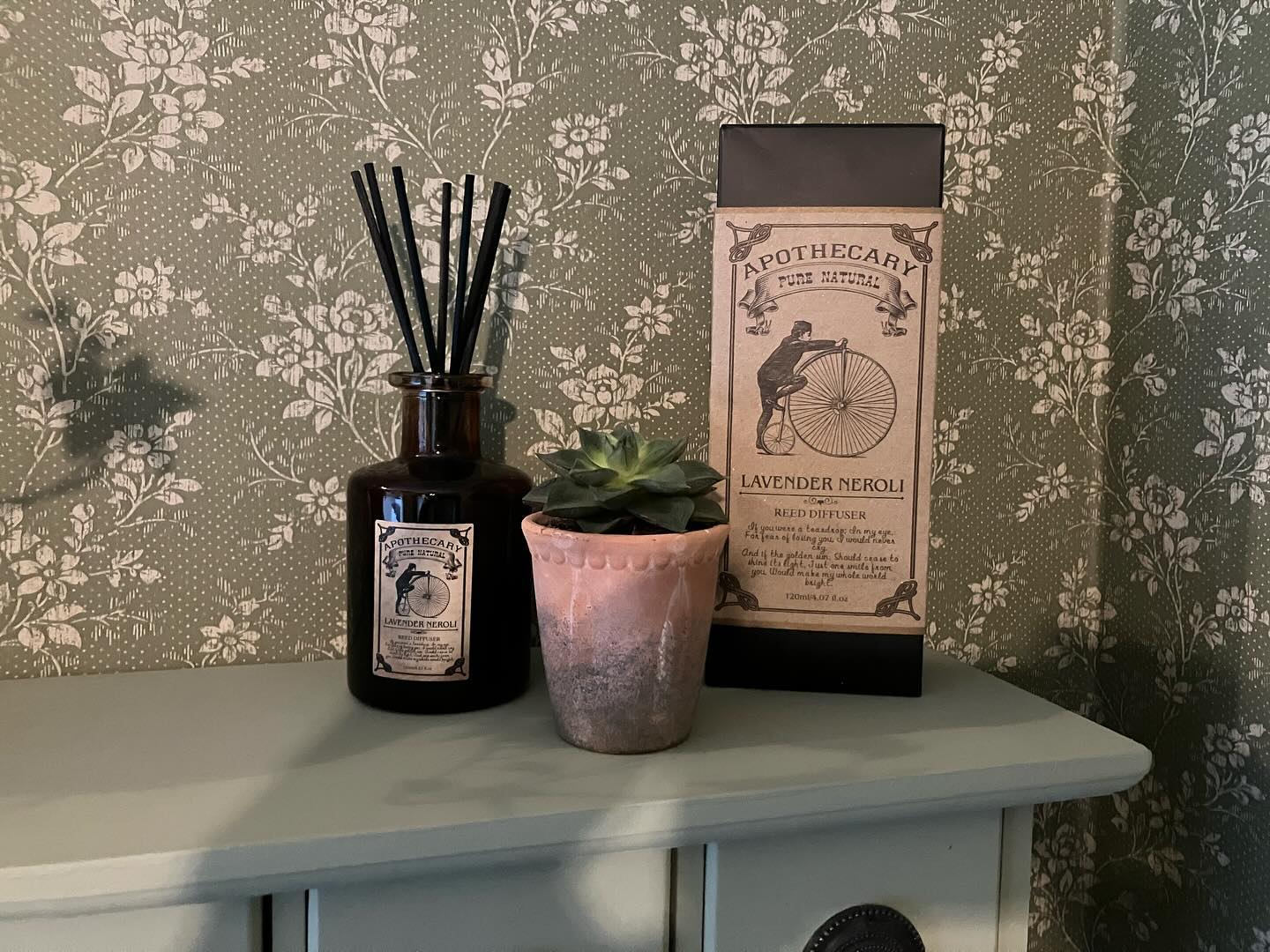 #minilerkruka #succulents #hiproseborastapeter #hiprose #familjetapeter #wallpapers #wallpassion #boråstapeter