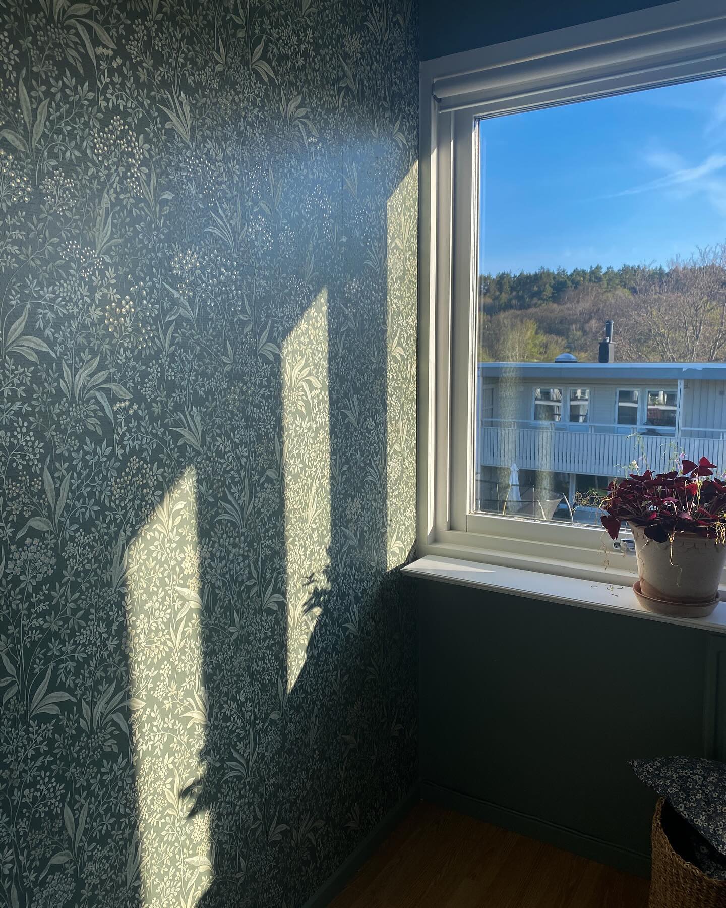 Godmorgon Fredag! Ser ut att bli ännu en dag med sol☀️ Älskar ljuset i Agnes rum😍 Börjar sakta men säkert bli färdiga hennes rum, bara lite piff kvar!