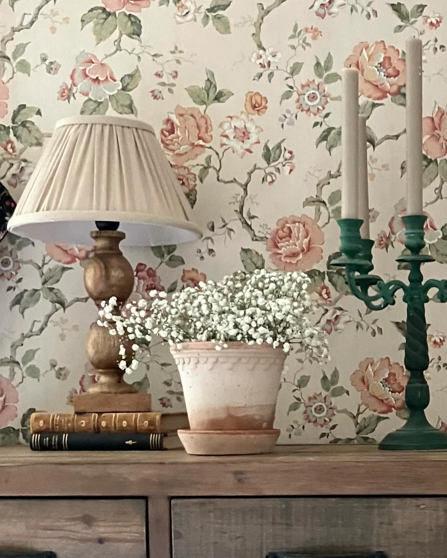Brudslöja kommer bli min nästa perenn i trädgården, fin även som torkad🌺 #brudslöja #torkadeblommor #boråstapeter #boråstapetrosenträd #rosenträd #wallpaper #newheritage #bergspotterköpenhamn #bergspotter #bergspottery #familjetapeter