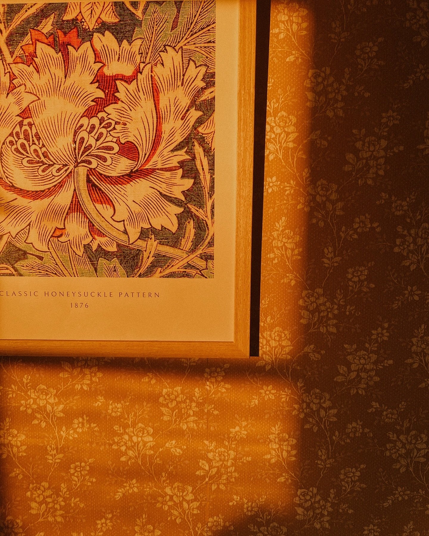 16:51 🧡 Eftermiddagssolen ändå. 

.

.

#mittlevaobo #boråstapeter #hiprose #orange #wallpaper #cottage #flowers #williammorris #tapeter #livetpålandet #lantligt #countrycottage #aesthetic #goldenhour