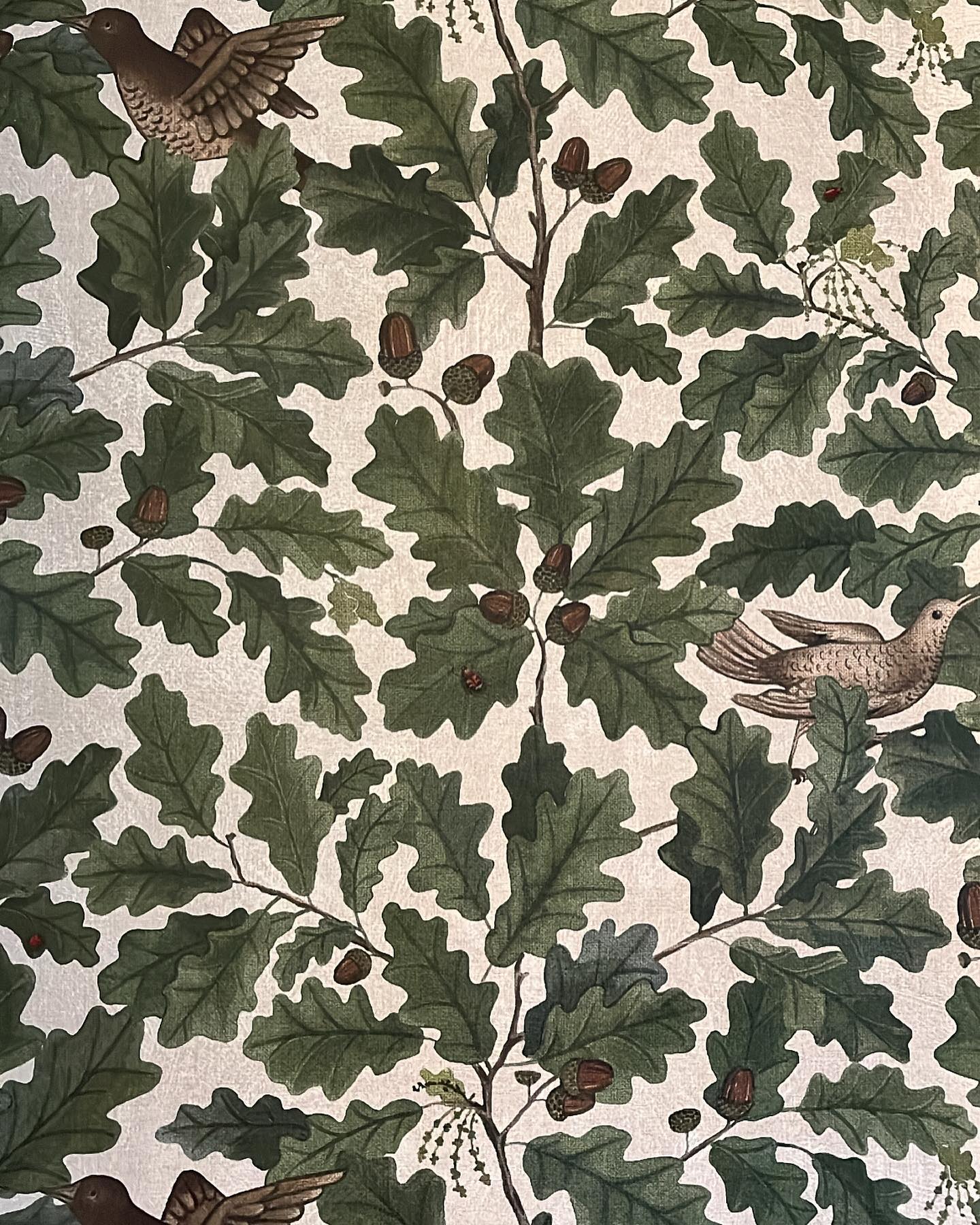 { Efter & före }

När vi flyttade in hade köket en väldigt yvig och speciell tapet. Det första man ser när man kommer in, är köket. 

Vi valde att inte göra någonting åt det först vi flyttat in, för att på så sätt hinna känna av hur vi ville ha det. 

••••••••••••••••••

Vi började med att måla panelen i en varmgrå kulör, sedan målade vi väggarna i samma kulör. Men insåg efter ett tag att det fattades något. 

Då hittade vi tillslut den rätta tapeten i slutet av förra året. Nu möts man av en varmare känsla direkt när man kliver innanför dörren. Resterande del av köket har vi valt att avvakta med tills vidare, men knopparna har bytts ut till svarta istället. Gav också en helt annan känsla! 🍃 

#kök #köksinspiration #köksinspo #mittkök #matplats #tapet #tapetinspiration #tapeter #tapetserat #gröntärskönt #gröntkök #husohem #gråttkök